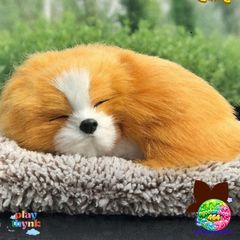 Thú Bông Hú Mùi Than Hoạt Tính - Phụ Kiện Trang Trí Xe Hơi Hình Gấu Xinh Xắn Khử Mùi, Lọc Không Khí Cho Gia Đình