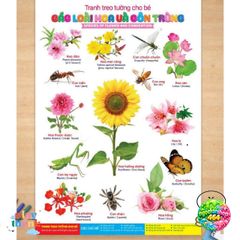Bộ Sách Tranh Khám Phá Vũ Trụ 14 Chủ Đề Cho Trẻ - Nghệ Thuật Dạy Học Sáng Tạo - Tăng Cường Nhận Thức và Tư Duy