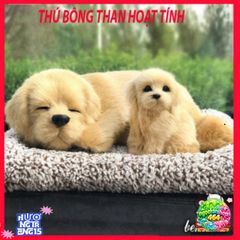 Thú Bông Khử Mùi Than Hoạt Tính - Gấu Chó Vàng Đáng Yêu Cho Ô Tô và Không Gian Sống - Giải Pháp Khử Mùi Hiệu Quả và Trang Trí Dễ Thương