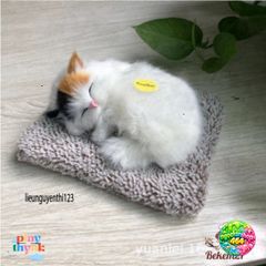 Chó Poodle Xù Nâu M68 - Thú Bông Khử Mùi Lõi Than Hoạt Tính Trang Trí Xe Hơi, Đáng Yêu Cho Trẻ Nhỏ