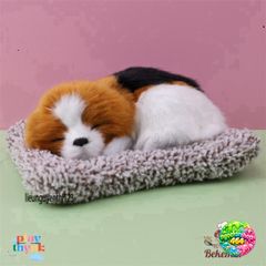 Chó Poodle Xù Nâu M68 - Thú Bông Khử Mùi Lõi Than Hoạt Tính Trang Trí Xe Hơi, Đáng Yêu Cho Trẻ Nhỏ