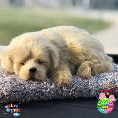 Thú Bông Chó Mèo Sói Gấu Đôi Mẹ Con Khử Mùi Không Khí - Đồ Trang Trí Xe Hơi Hút Ẩm Than Hoạt Tính Dễ Thương