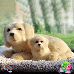 Thú Bông Chó Mèo Sói Gấu Đôi Mẹ Con Khử Mùi Không Khí - Đồ Trang Trí Xe Hơi Hút Ẩm Than Hoạt Tính Dễ Thương