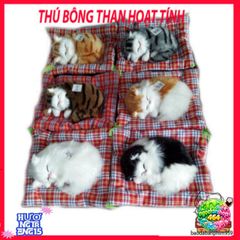 Gấu Bông Thú Ô Tô Tích Hợp Than Hoạt Tính - Khử Mùi, Lọc Không Khí Cho Chó Mèo, Phụ Kiện Trang Trí Xe Hơi Dễ Thương