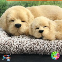 Thú Bông Mèo Vằn Vàng - Phụ Kiện Khử Mùi Than Hoạt Tính Đáng Yêu Trang Trí Xe Hơi và Nội Thất, Giúp Không Khí Trong Lành