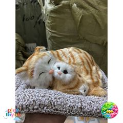 Mèo Vằn Vàng Đôi Thú Bông Decor Ô Tô - Khử Mùi và Lọc Khí Bằng Than Hoạt Tính - Phụ Kiện Dễ Thương Cho Xe Hơi