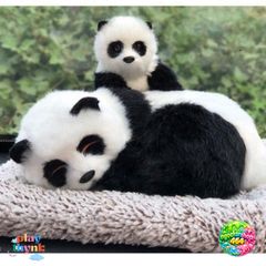 Mèo Vằn Vàng Đôi Thú Bông Decor Ô Tô - Khử Mùi và Lọc Khí Bằng Than Hoạt Tính - Phụ Kiện Dễ Thương Cho Xe Hơi