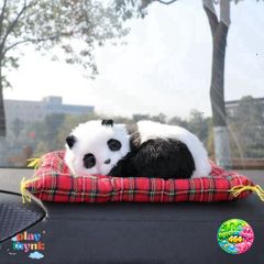 Thú Bông Hút Mùi Than Hoạt Tính - Gấu Bông Trang Trí Xe Hơi Đáng Yêu, Khử Mùi Không Khí Trong Lành, Phụ Kiện Ô Tô Thú Vị