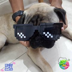 Kính Mát Thug Life Thời Trang Cá Tính - Kính Mát Nam Nữ Trẻ Em Độc Đáo và Phong Cách, Chất Liệu Nhựa Chất Lượng