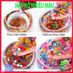 Hạt Tinh Thể Trồng Cây và Hoa - Giải Pháp Trang Trí Mới Cho Không Gian Sống, Nở To Gấp 4-5 Lần, Nhiều Màu Sắc, Dễ Dàng Sử Dụng