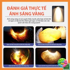 Đèn Soi Giấy Tờ, Tiền, Đá Quý Cao Cấp - 6 Ánh Sáng Siêu Mạnh, Sạc Trực Tiếp, Chống Nắng, Dụng Cụ Kiểm Tra Thật Giả