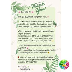 Hộp Bánh Kem Sinh Nhật Đăng Quỳnh - Hộp Bánh Cứng Cao Cấp, Thiết Kế Cửa Sổ Trong Suốt, Sang Trọng Và Đẹp Mắt