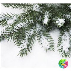 Bột Tuyết Nhân Tạo Trang Trí Giáng Sinh 100G - Decor Cây Thông Noel Xinh Xắn, An Toàn, Không Độc Hại