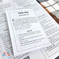 Tờ Hướng Dẫn Giải Bài Clow Sakura Đơn Giản - In A4 Chất Lượng, Phương Pháp Trải Bài Dễ Dàng Cho Người Mới Bắt Đầu