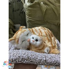 Mèo Vằn Vàng Bông 99% Khử Mùi - Thú Bông Hoạt Tính Trang Trí Xe Hơi, Bố Mẹ Con Nằm Ngủ Dễ Thương, Cải Thiện Không Khí Trong Xe