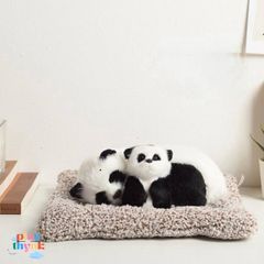 Gấu Bông Khử Mùi Than Hoạt Tính - Deco Trang Trí Ô Tô, Bàn Làm Việc Đáng Yêu Cho Bé - Mèo Chiều Cao 24x20cm