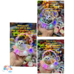 Gấu Bông Khử Mùi Than Hoạt Tính - Deco Trang Trí Ô Tô, Bàn Làm Việc Đáng Yêu Cho Bé - Mèo Chiều Cao 24x20cm