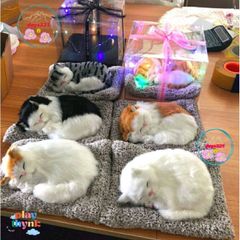 Thú Bông Lõi Than Hoạt Tính Khử Mùi Trang Trí Ô Tô - Phụ Kiện Dễ Thương, Lọc Không Khí An Toàn Cho Gia Đình