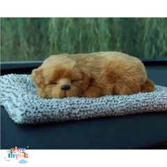 Thú Bông Khử Mùi Than Hoạt Tính Nano Dễ Thương Cho Xe Hơi - Đồ Trang Trí An Toàn Cho Gia Đình