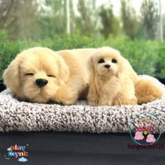 Bông Thú Cún Mèo Nhạt Đôi - Chó Vàng Thật 99% Lõi Than Hoạt Tính Khử Mùi, Trang Trí Xe Hơi Đáng Yêu, Sức Khỏe Gia Đình