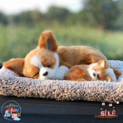 Thú Nhồi Bông Cún Vàng Mẹ Con Shiba Đôi - Khử Mùi Than Hoạt Tính, Lọc Không Khí Trang Trí Xe Hơi Đáng Yêu