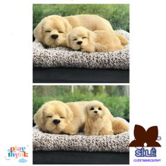 Thú Bông Hỗ Trợ Lọc Không Khí - Gấu Fox Ngộ Nghĩnh với Lõi Than Hoạt Tính Khử Mùi Ô Tô, Phụ Kiện Trang Trí Xe Hơi