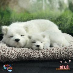 Thú Nhồi Bông Cún Vàng Mẹ Con Shiba Đôi - Khử Mùi Than Hoạt Tính, Lọc Không Khí Trang Trí Xe Hơi Đáng Yêu