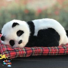 Gấu Bông Chó Poodle Xù Nâu Lõi Than Hoạt Tính Khử Mùi Xe Hơi - Trang Trí Đáng Yêu và Hút Ẩm cho Ô Tô
