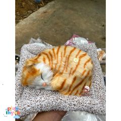 Thú Bông Chó PUG Đôi Mẹ Con - Khử Mùi Than Hoạt Tính Trang Trí Xe Hơi, Đồ Chơi Dễ Thương Cho Trẻ Em, Kích Thước 28x21cm