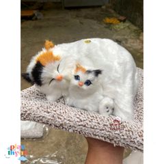 Thú Bông Chó PUG Đôi Mẹ Con - Khử Mùi Than Hoạt Tính Trang Trí Xe Hơi, Đồ Chơi Dễ Thương Cho Trẻ Em, Kích Thước 28x21cm