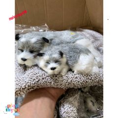 Cún Xám Bố Thú Nuôi Bông Giống Thật - Gấu Bông Lõi Than Hoạt Tính Khử Mùi Ô Tô, Phụ Kiện Tô Điểm Xe Hơi