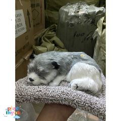 Gấu Bông Cún Xám Đơn Than Hoạt Tính - Phụ Kiện Trang Trí Ô Tô Khử Mùi và Lọc Không Khí 99% Giống Thật