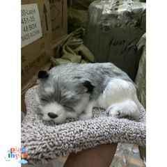 Gấu Bông Cún Xám Đơn Than Hoạt Tính - Phụ Kiện Trang Trí Ô Tô Khử Mùi và Lọc Không Khí 99% Giống Thật