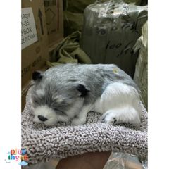 Gấu Bông Cún Xám Đơn Than Hoạt Tính - Phụ Kiện Trang Trí Ô Tô Khử Mùi và Lọc Không Khí 99% Giống Thật