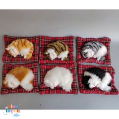 Gấu Bông Chó Mèo Khử Mùi Than Hoạt Tính Trang Trí Ô Tô, Văn Phòng - Hút Ẩm, Giữ Không Khí Trong Lành