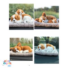Gấu Bông Khử Mùi Ô Tô Chất Lượng Cao Có Than Hoạt Tính - Đồ Trang Trí và Chăm Sóc Thú Cưng Đồng Hành Di Động