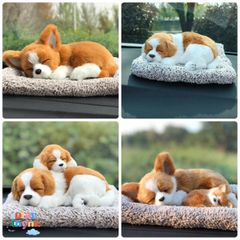 Gấu Bông Khử Mùi Ô Tô Chất Lượng Cao Có Than Hoạt Tính - Đồ Trang Trí và Chăm Sóc Thú Cưng Đồng Hành Di Động