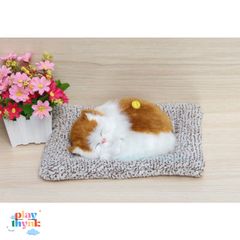 Gấu Bông Khử Mùi Ô Tô Chất Lượng Cao Có Than Hoạt Tính - Đồ Trang Trí và Chăm Sóc Thú Cưng Đồng Hành Di Động