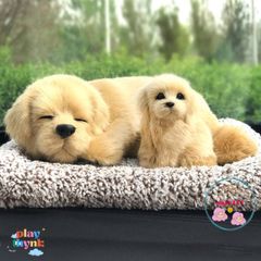 Gấu Bông Chó Mèo Than Hoạt Tính - Phụ Kiện Khử Mùi Ô Tô Đáng Yêu, Lọc Không Khí Trong Lành, Trang Trí Xe Hơi và Không Gian Sống