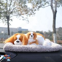 Thú Bông Mèo Trắng Trán Đen 99% Sói Gấu Lõi Than Hoạt Tính Khử Mùi Không Khí Trang Trí Xe Hơi Đáng Yêu