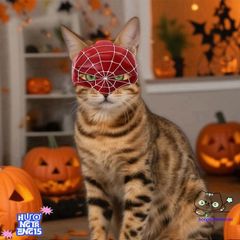 Mặt nạ Người Nhện Marvel 3D cho thú cưng - Phụ kiện Halloween độc đáo, hóa trang siêu anh hùng dễ thương.
