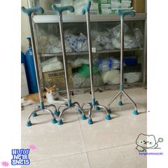 Gậy Tập Đi Inox Chất Lượng - Hỗ Trợ Phục Hồi, Lựa Chọn 3 hoặc 4 Chân, Điều Chỉnh Chiều Cao, Dễ Mang Theo - Hàng Việt Nam