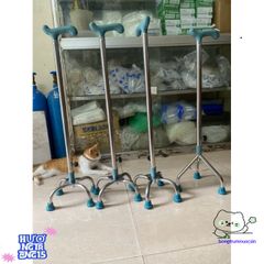 Gậy Tập Đi Inox Chất Lượng - Hỗ Trợ Phục Hồi, Lựa Chọn 3 hoặc 4 Chân, Điều Chỉnh Chiều Cao, Dễ Mang Theo - Hàng Việt Nam