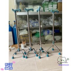 Gậy Tập Đi Inox Chất Lượng - Hỗ Trợ Phục Hồi, Lựa Chọn 3 hoặc 4 Chân, Điều Chỉnh Chiều Cao, Dễ Mang Theo - Hàng Việt Nam