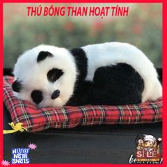 Bông Mèo Trắng Khử Mùi - Lọc Không Khí An Toàn Cho Ô Tô và Thú Cưng - Sản Phẩm Siêu Bền, Thú Vị, Độc Đáo