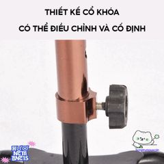 Gậy Chống Đa Năng 4 Chân Hợp Kim Nhôm Chống Gỉ Cho Người Cao Tuổi - Điều Chỉnh Chiều Cao 67-90cm, Dễ Dàng Sử Dụng