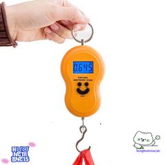 Cân Điện Tử Cầm Tay Mini Kèm Móc Treo - Cân Hành Lý Chính Xác Du Lịch Tiện Lợi, Màn Hình LCD Hiển Thị Rõ Ràng