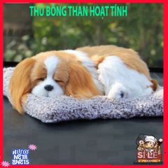 Cún Mèo Than Hoạt Tính 21x28cm - Khử Mùi Ô Tô Hiệu Quả và Đáng Yêu Trang Trí Nội Thất Xe Hơi