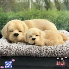 Đồ Chơi Thú Nhồi Bông Chó Mèo Phát Nhạc - Than Hoạt Tính Khử Mùi Cho Ô Tô & Trang Trí Nhà Cửa - Quà Tặng Độc Đáo Cho Trẻ Em