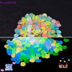 Viên Đá Phát Sáng Ban Đêm Plumhouse 100 Viên - Trang Trí Sân Vườn Hoàn Hảo!
